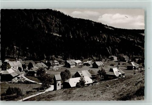 Menzenschwand Hinterdorf