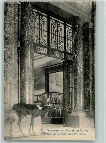 Tervuren Musée du Congo Entrée de la Salle des Poissons