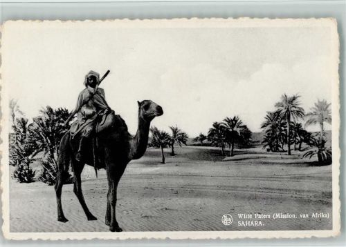 Witte Paters auf einem Kamel , Mission in Afrika, Sahara
