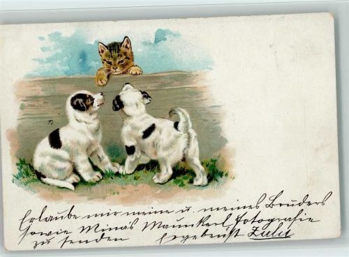 Zwei Hundewelpen sehen eine Katze 1900 AK
