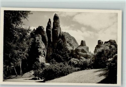 Hochgebirge Panorama Foto AK Zoo