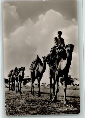 Camels in Aroussi - Karawane Foto AK Eckknick