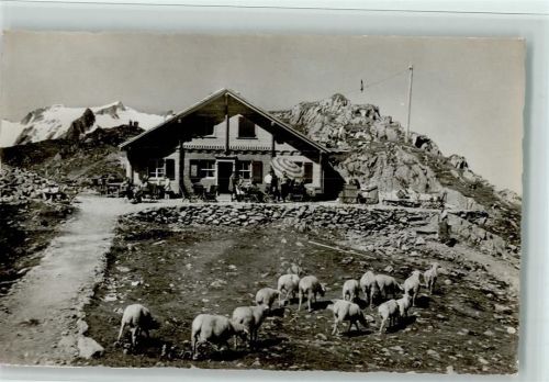 Gadmen Restaurant Susten-Passhöhe