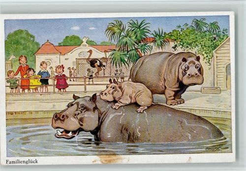 Im Zoo Nilpferde