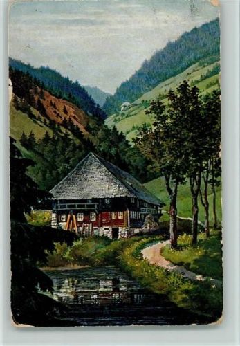 Schwarzwaldhaus Elchlepp Nr. 10 AK