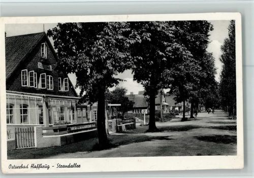 23629 W2401 Haffkrug 1956 - Strandhalle AK