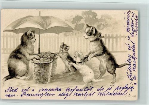 Serie 638 Marktfrau - vermenschlichte Katzen AK