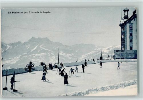 Leysin La Patinoire des Chamois a Leysin - Wintersport, Hotel