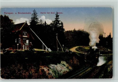 Wernigerode 1923 Harzquer u. Brockenbahn , Partie bei Drei Annen