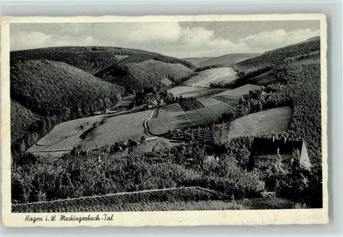 Stempel: 38. Hagener Reit- und Springturnier 1957 AK