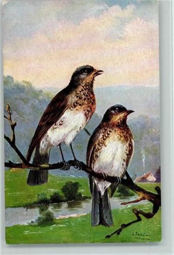Amseln Vögel auf einem Ast - TSN Serie 1817 (6 Dess)