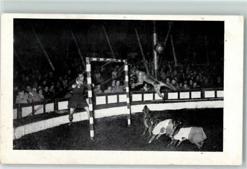 Fußball-Toto in der Manege Dressurschau mit Hunde AK