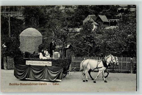 Calw 1912 Landwirschaftliches Bezirksfest 1912 Bezirks-Bienenzüchter-Verein Festwagen Ort handschriftlich