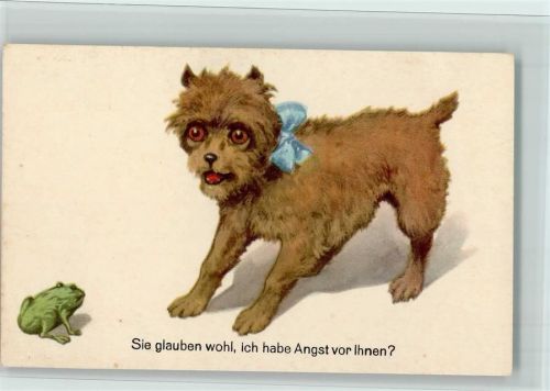 Hund und Frosch AK Frosch