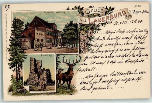 Stecklenberg Gasthaus Lauenburg Ruine Burg Kutsche Hirsch Blumen