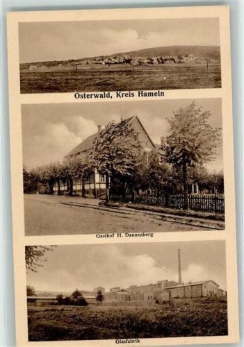 31020 W3216 Osterwald b Elze, Leine - Gasthaus H. Dannenberg Glasfabrik