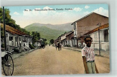Kandy Trincomalie Street