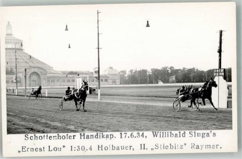 Wien Schottenhofer Handikap 17.6.1934