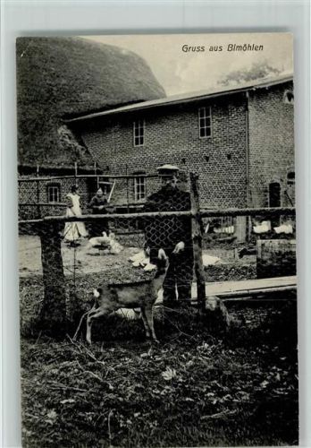 Bimöhlen 1918 Bauernhof, Bäuerinnen im Hof AK Gute Erhaltung