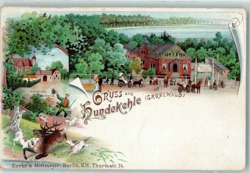 Grunewald Hundekehle Hirsch Jagdschloss Grunewald