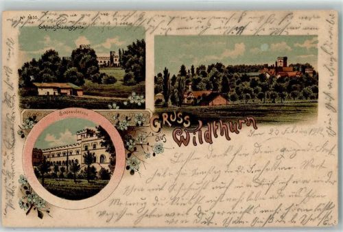 Wildthurn 1902 Schloss