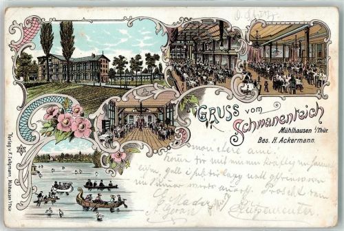 Mühlhausen 1897 Gasthaus Schwanenteich Speisesaal Gondelteich Schwäne
