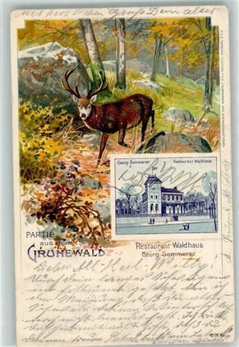 Grunewald 1902 Hirsch Gasthaus Waldhaus