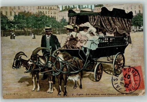 Lyon 1907 Kutsche wird von Ziegen gezogen - Ziegenkarren