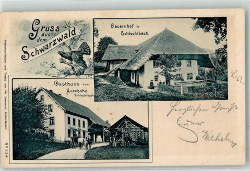 Gersbach 1899 Schlechtbach Bahnpost Basel Zell Zug 313 18.10.99 Bauernhof Gasthaus zum Auerhahn