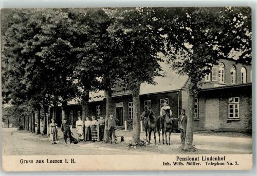 Leezen 1915 Pensionat Lindenhof Pferde