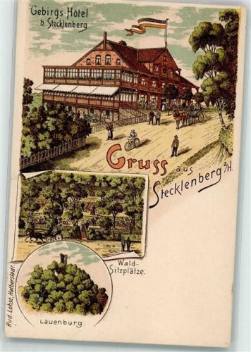 06507 O4301 Stecklenberg Lithographie Gebirgs-Hotel Waldsitzplätze Lauenburg