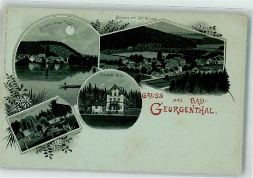 Georgenthal Teichpartie Rodebach's Mühle Klosterruine