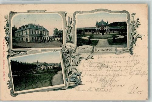 Kundratice 1903 Bad Kunnersdorf Oschitz Hotel Kurhaus Veranda Moorbad Frösche