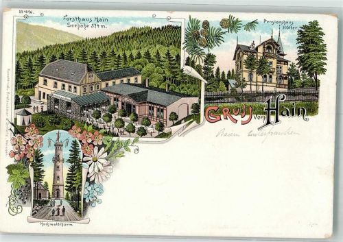 02797 O8806 Hain b Zittau Lithographie Pension Hütter Forsthaus Hain Hochwaldturm Aussichtsturm