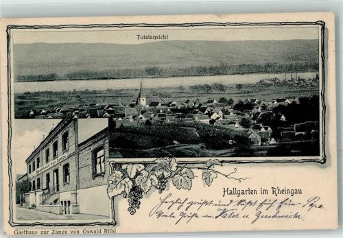 Hallgarten 1915 Gasthaus Zur Zange Oswald Rühl
