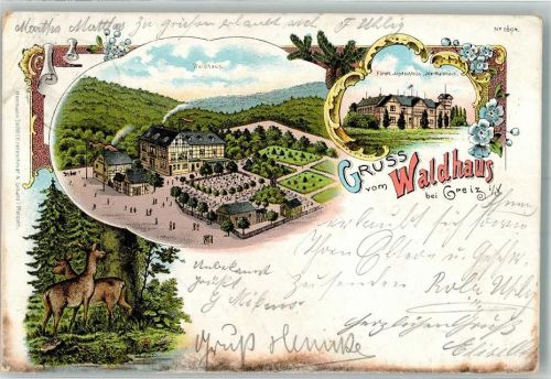 Greiz 1899 Fürstl Jagdschloß Ida- Waldhaus Gasthaus Waldhaus Rehbock