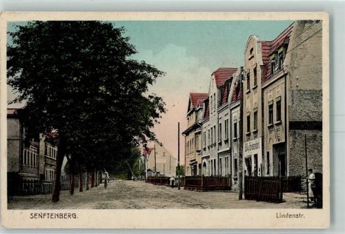 Senftenberg Lindenstraße