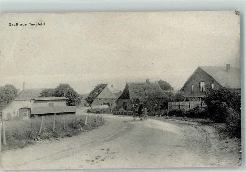 23824 W2361 Tensfeld - Dorfstraße Kutsche