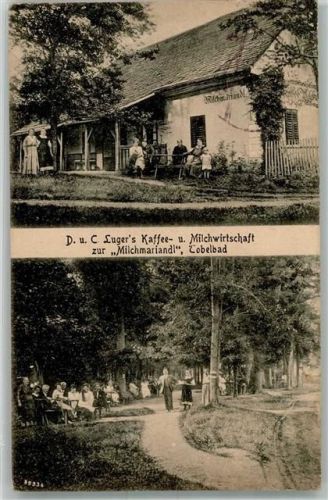 8144 Tobelbad 1919 - Gasthaus D. u. C. Luigers Cafehalle zur Milchmariandl Haseldorf