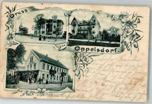 Bad Oppelsdorf Opolno Zdroj 1901 - Pension Lindenhof Villa Heimat Hotel Annenhof