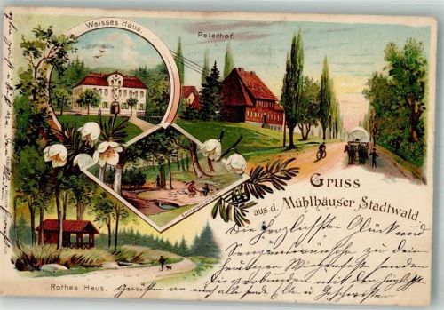 Mühlhausen 1902 Weisses Haus Rothes Haus Spittelbrunnen Petershof