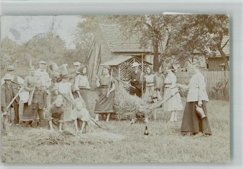 Teupitz 1905 Landwirtschaft Heuernte Ort handschriftlich Privatfoto AK