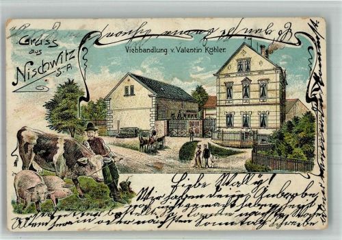 Nischwitz 1905 Lithographie Viehhandlung Köhler Schweine Kuh Bauer