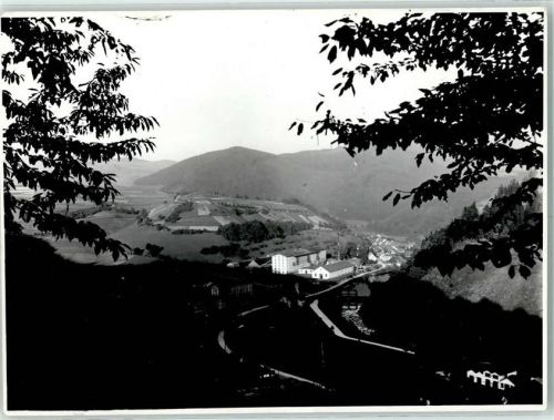 Zell
