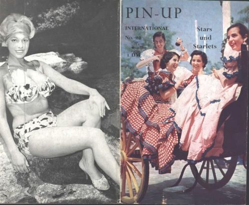 Heft Pin-Up Nr 20