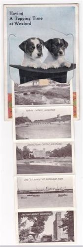 Wexford AK mit Leporello ausziehbarer Papierstreifen Welpen Zylinder