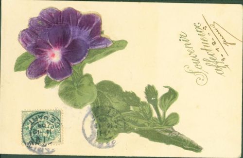 Blüte mit Samt Prägedruck
