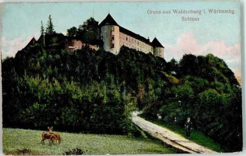 Waldenburg Schloss Wild Mann