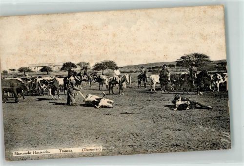 San Miguel de Tucumán Marcando Hacienda Trancas