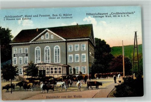 98701 O6309 Großbreitenbach - Hotel Schützenhof Heimkehr von der Weide Bahnpoststempel